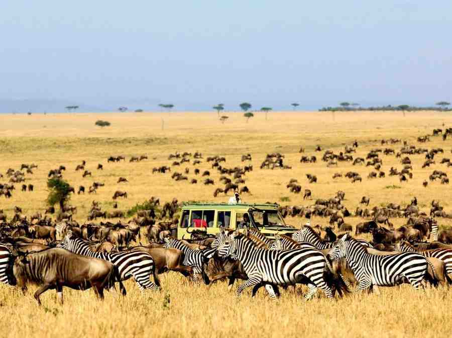 Serengeti National Park - Home to the Great Migration