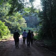 NATURE WALK